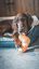 Tyrol -  Jouet Peluche Pizza pour Chien - 17cm Indicateur image numéro 6
