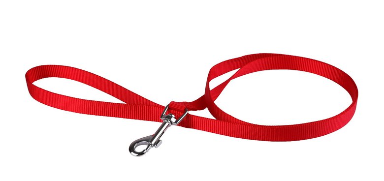 Animalis - Laisse Basic Rouge pour Chien - 40mm et 50cm Image numéro 1 Animalis - Laisse Basic Rouge pour Chien - 40mm et 50cm Image numéro 1