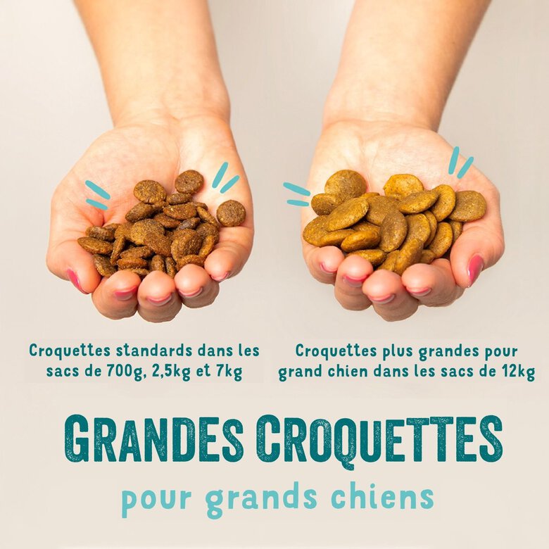 Edgard & Cooper - Croquettes Naturelles sans Céréales Canard et Poulet frais pour Chiot - 12Kg Image numéro 4 Edgard & Cooper - Croquettes Naturelles sans Céréales Canard et Poulet frais pour Chiot - 12Kg Image numéro 4