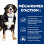Hill's - Croquettes Prescription Diet J/D Metabolic + Mobility pour Chiens - 12Kg Indicateur image numéro 4