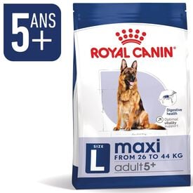 Royal Canin - Croquettes Maxi Adult 5+ pour Chien