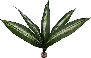 Labeo - Plante Verte Décorative pour Terrarium - GM
