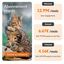 Weenect - Traceur GPS XS Edition 2023 pour Chats - Blanc Indicateur image num&eacute;ro 11