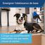 PetSafe - Système d'Aide à l'Education pour Chiens - 100m Indicateur image numéro 5