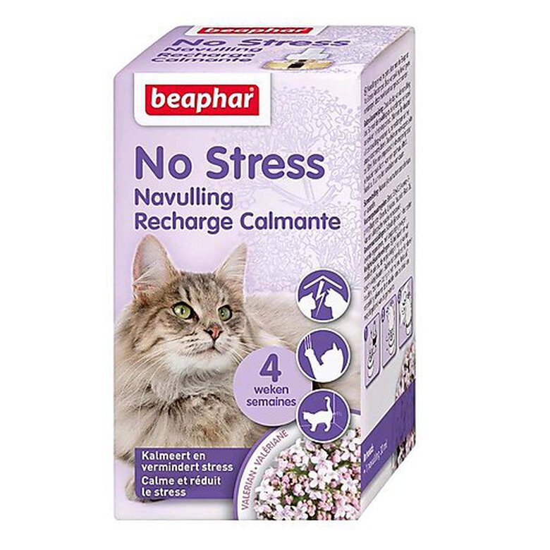 Beaphar - Recharge Calmant 30J No Stress pour Chat - 30ml image number null