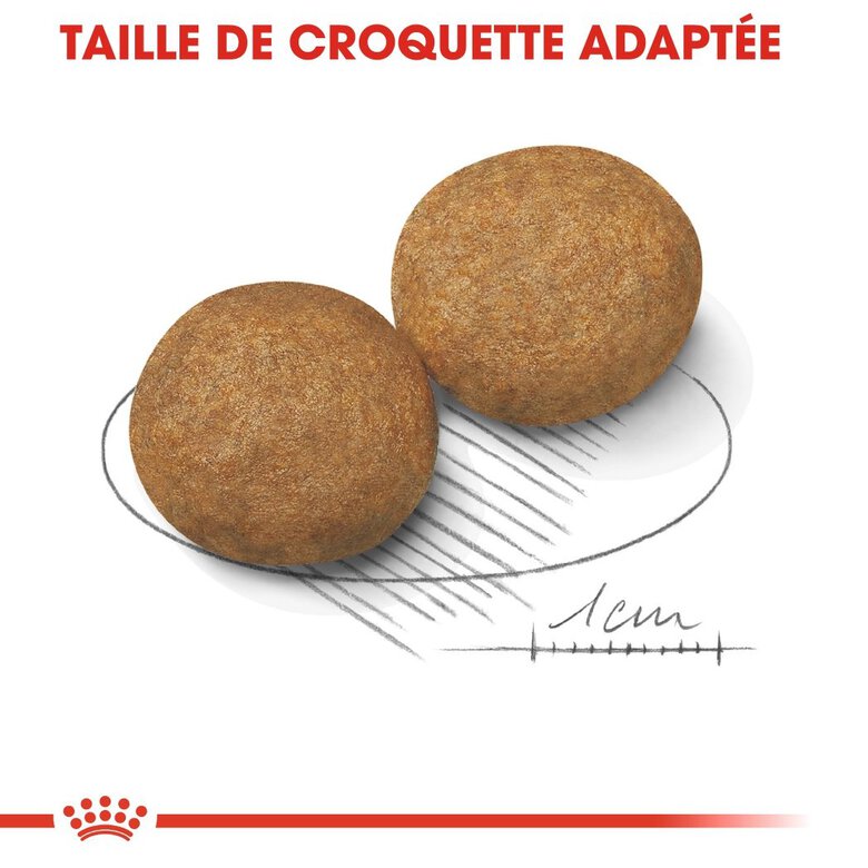 Royal Canin - Croquettes Medium Adult pour Chien - 15Kg Image numéro 5 Royal Canin - Croquettes Medium Adult pour Chien - 15Kg Image numéro 5