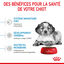 Royal Canin - Croquettes Medium Puppy pour Chiot - 15Kg Indicateur image numéro 4