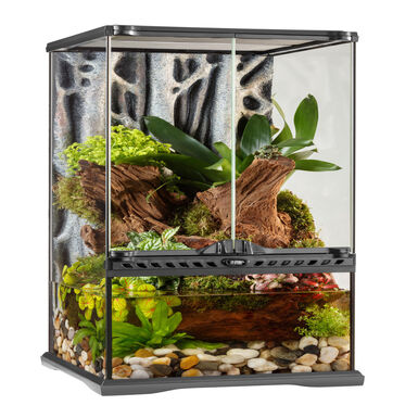 Exo Terra - Natural Paludarium - 30x30x60cm