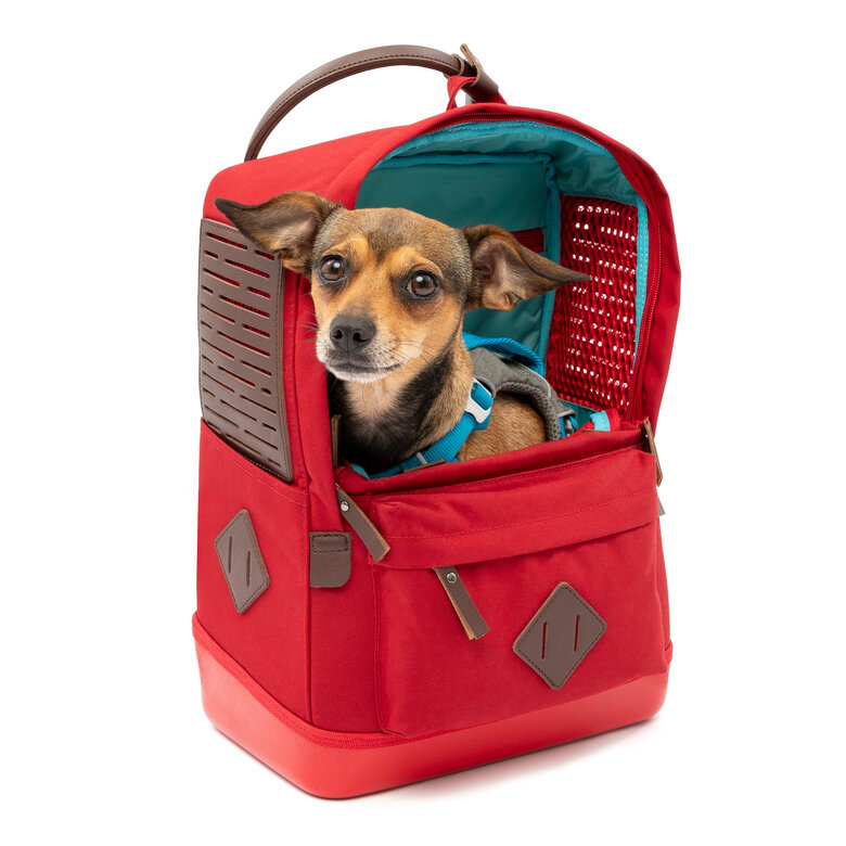 Kurgo - Sac à Dos de Transport "Nomad" pour Chiens - Rouge Image numéro 4 Kurgo - Sac à Dos de Transport "Nomad" pour Chiens - Rouge Image numéro 4