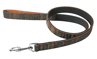 Martin Sellier - Laisse Urban Tribe pour Chien - 25/50cm