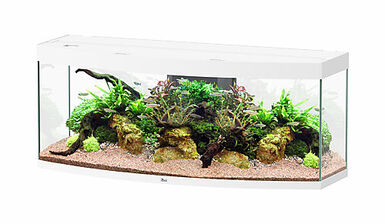 Aquatlantis - Aquarium SUBLIME HORIZON 150 Led Blanc - 363L