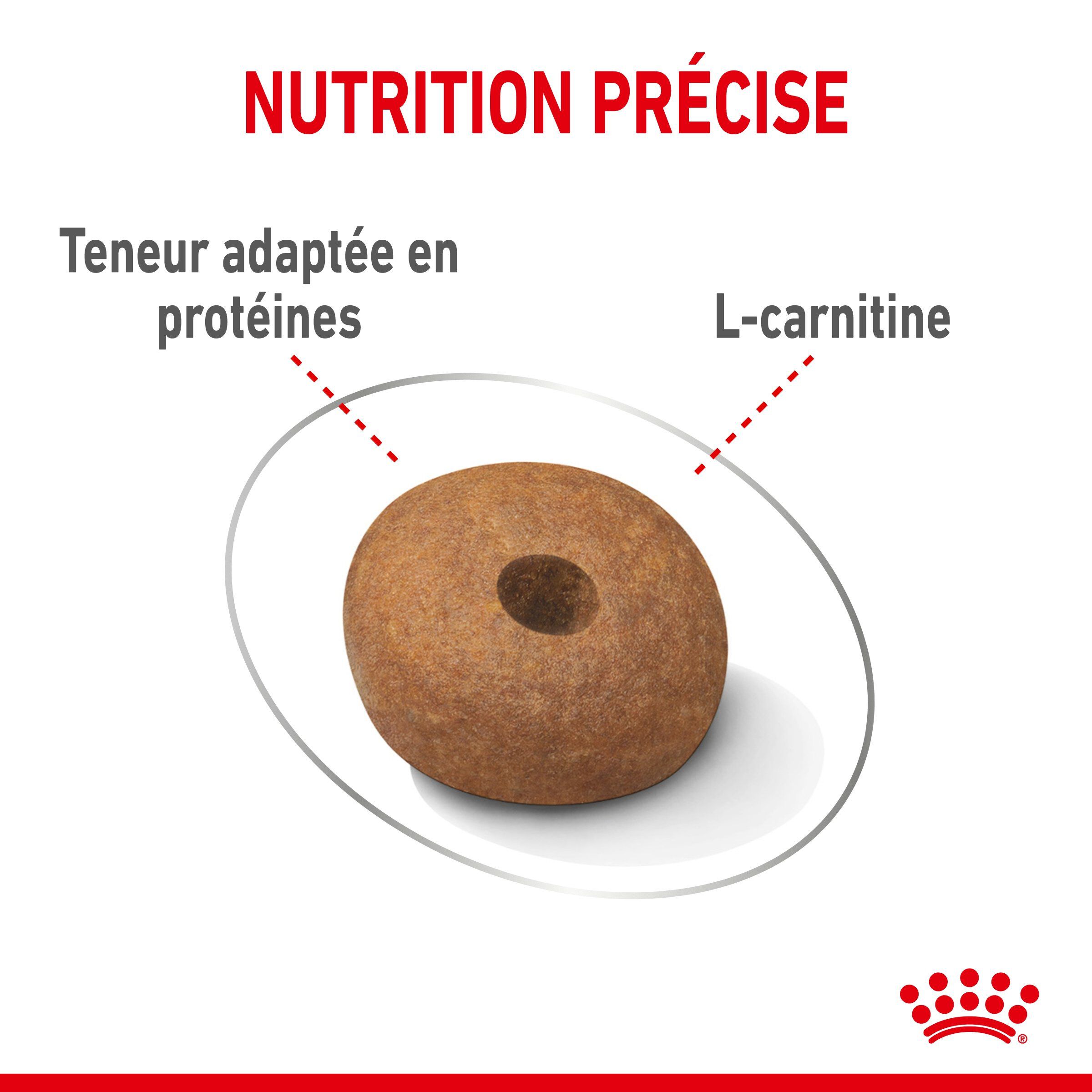 Royal Canin - Croquettes Medium Light Weight Care pour Chien - 3Kg Image num&eacute;ro 5
