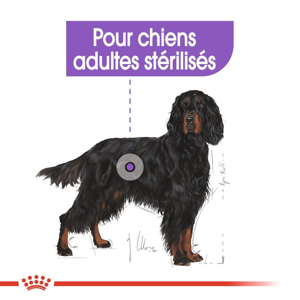 Royal Canin - Croquettes Maxi Sterilised pour Chien Adulte St&eacute;rilis&eacute; - 3Kg Image num&eacute;ro 3