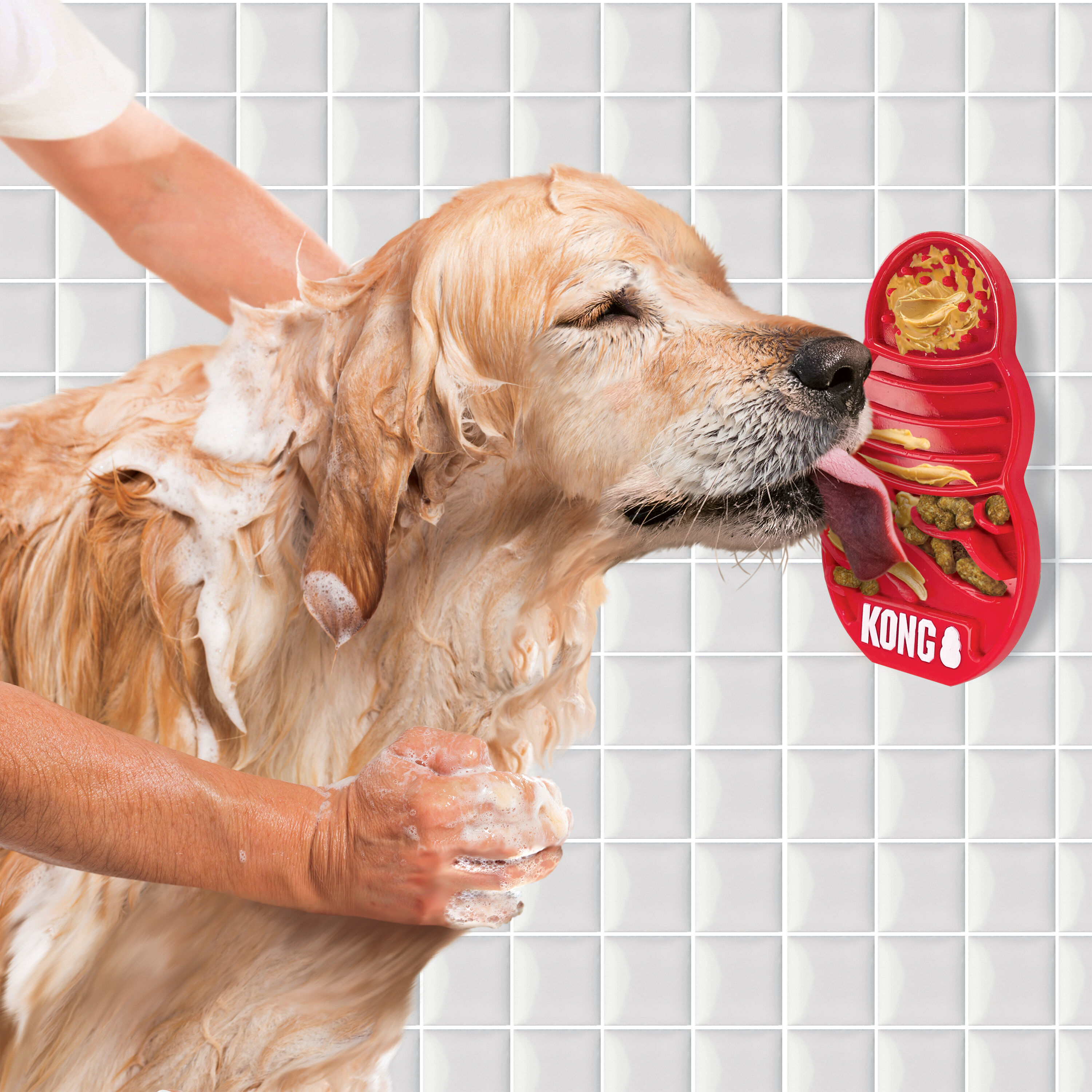 KONG - Jouet Distributeur de Friandises Licks pour Chiens Image num&eacute;ro 4