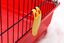 Paradisio - Cage pour Lapin - 100cm Indicateur image numéro 3