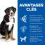 Hill's Science Plan - Adult Croquettes Pour Grand Chien Au Poulet  - 18kg Indicateur image numéro 3