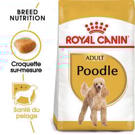 Royal Canin - Croquettes Poodle Adult pour Chien