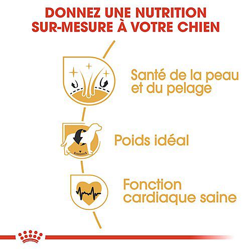 Royal Canin - Croquettes Cocker pour Chien Adulte - 12Kg Image num&eacute;ro 5