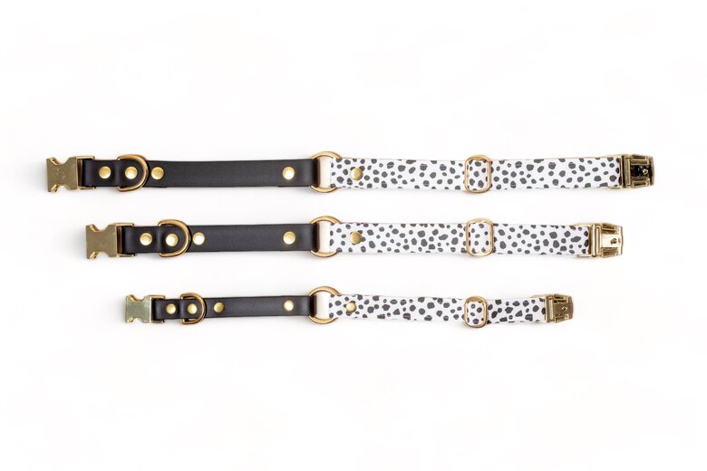 Pompon&Pets - Collier Duo Pongo pour Chiens - M Image numéro 1 Pompon&Pets - Collier Duo Pongo pour Chiens - M Image numéro 1