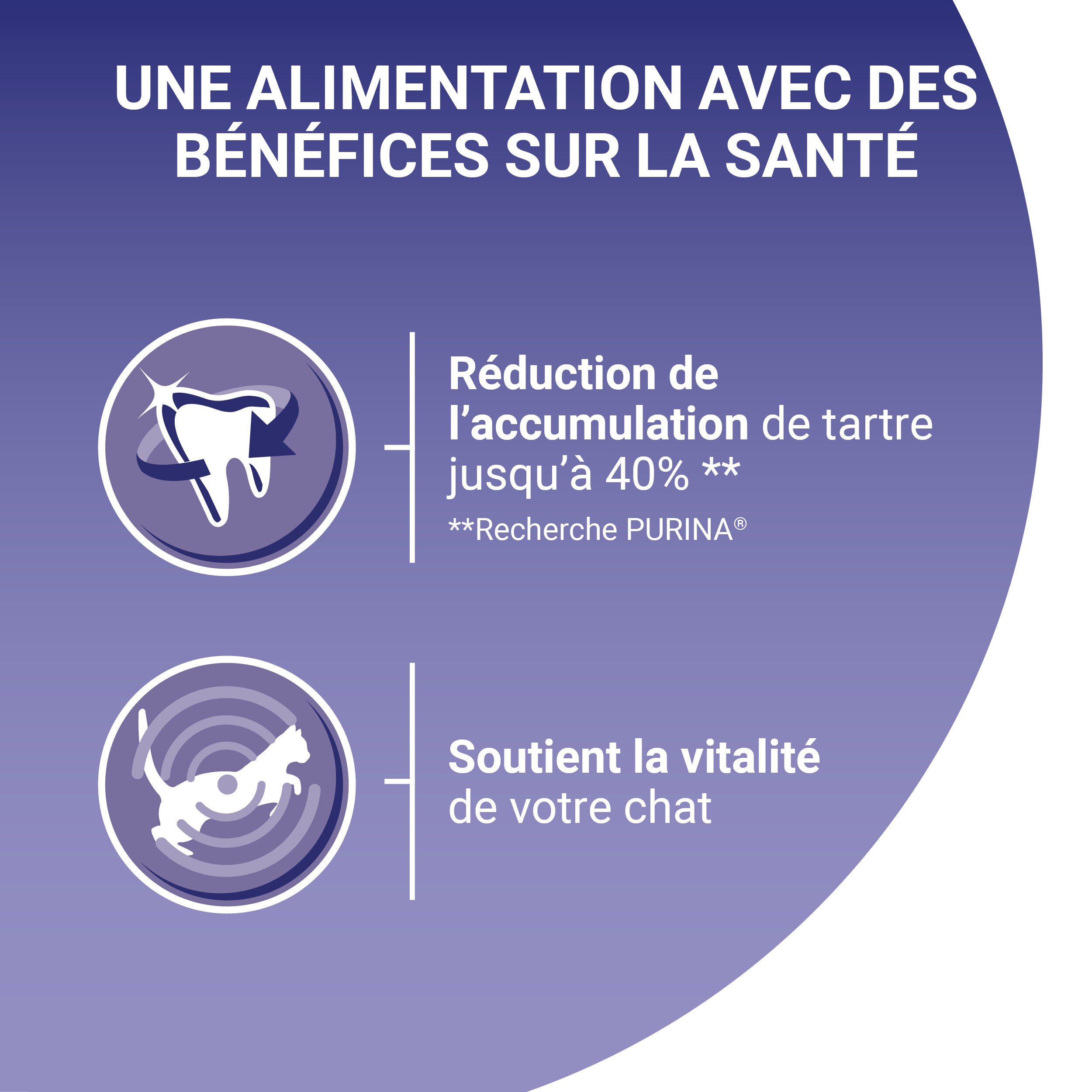 Purina One - Croquettes au Boeuf et C&eacute;r&eacute;ales pour Chat Adulte - 1,5Kg Image num&eacute;ro 7