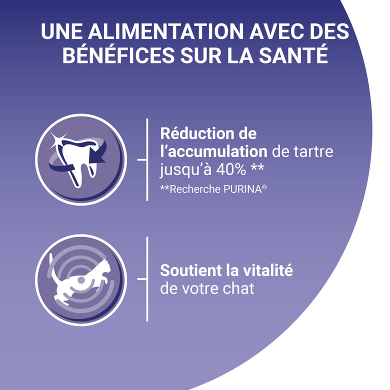 Purina One - Croquettes au Boeuf et Céréales pour Chat Adulte - 1,5Kg Image numéro 7 Purina One - Croquettes au Boeuf et Céréales pour Chat Adulte - 1,5Kg Image numéro 7