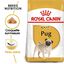 Royal Canin - Croquettes Carlin pour Chien Adulte - 1,5Kg Indicateur image numéro 1