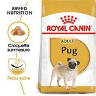 Royal Canin - Croquettes Carlin pour Chien Adulte - 1,5Kg image number null
