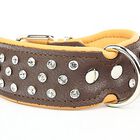 Yogipet - Collier Crystal Déco T65 51/60cm pour Chien - Marron image number null