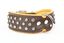 Yogipet - Collier Crystal Déco pour Chien Marron - T65 51/60cm Indicateur image numéro 2