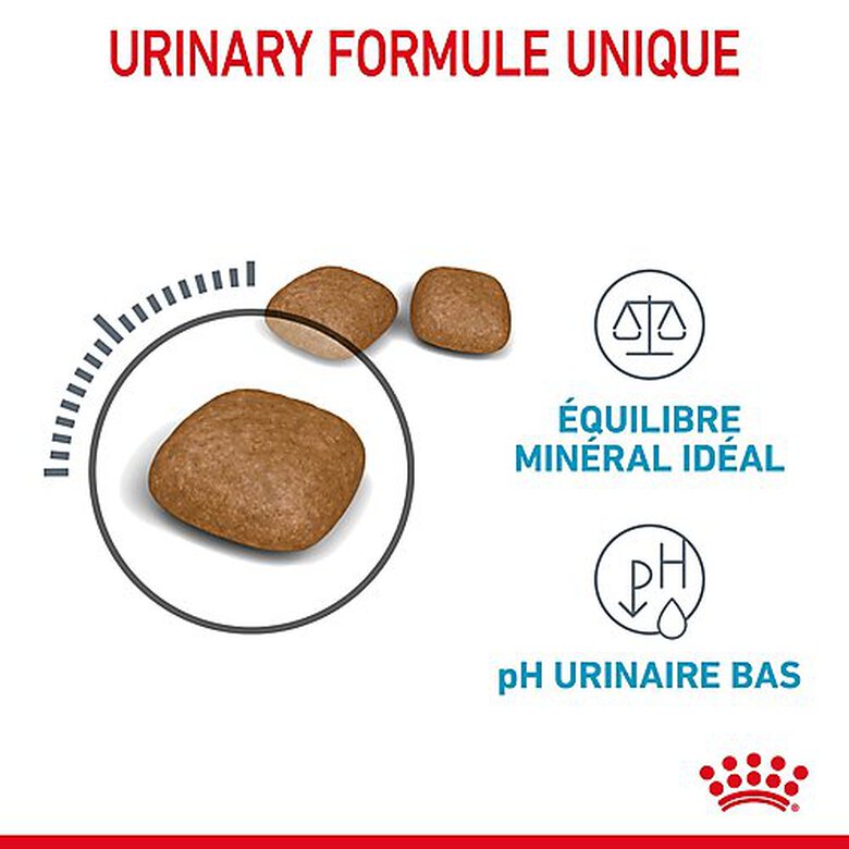 Royal Canin - Croquettes Urinary Care pour Chat - 2 Kg image number null