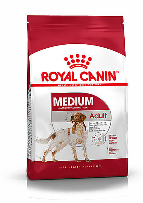 Royal Canin - Croquettes Medium Adult pour Chien - 4Kg image number null