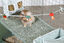 ZOLUX - HABITAT MODULABLE NEOPARK LAPIN - 140X105X70 Indicateur image numéro 2
