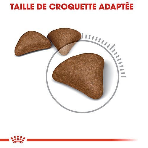 Royal Canin - Croquettes Hairball Care pour Chat - 2Kg Image num&eacute;ro 7