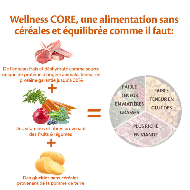 Wellness CORE - Croquettes à l'Agneau pour Chien de Toutes Races - 1,8Kg Image numéro 4 Wellness CORE - Croquettes à l'Agneau pour Chien de Toutes Races - 1,8Kg Image numéro 4
