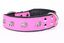 Yogipet - Collier Super Bulldog Cuir pour Chien Rose -T65 51/60cm Indicateur image numéro 3