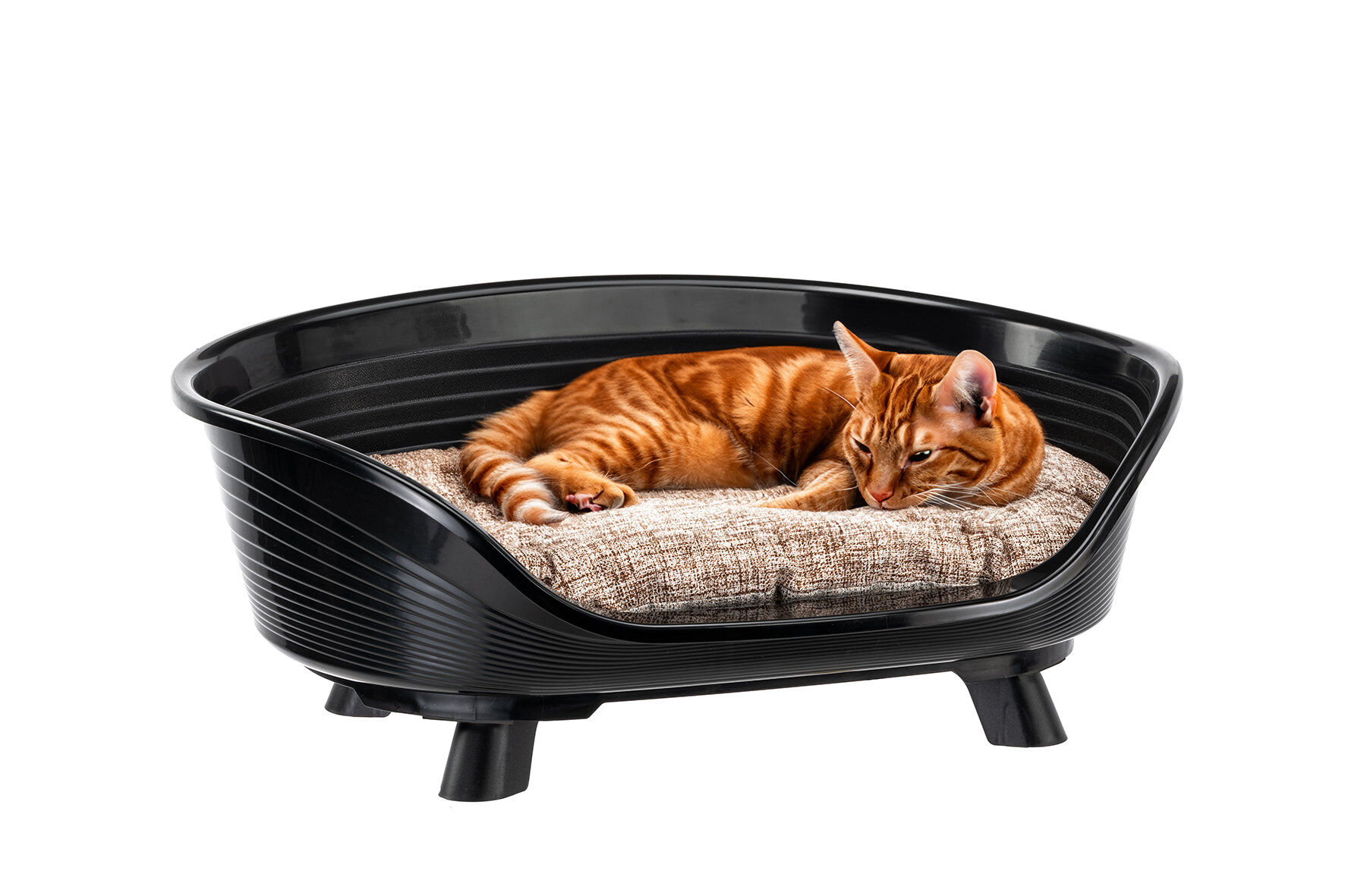 Ferplast - Corbeille Plastique Throne 8 pour Chiens - Noir Image num&eacute;ro 1