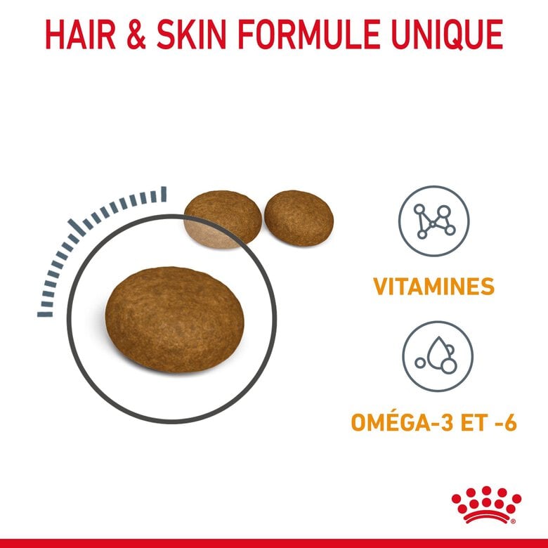 Royal Canin - Hair Skin Care 2kg Image numéro 5 Royal Canin - Hair Skin Care 2kg Image numéro 5