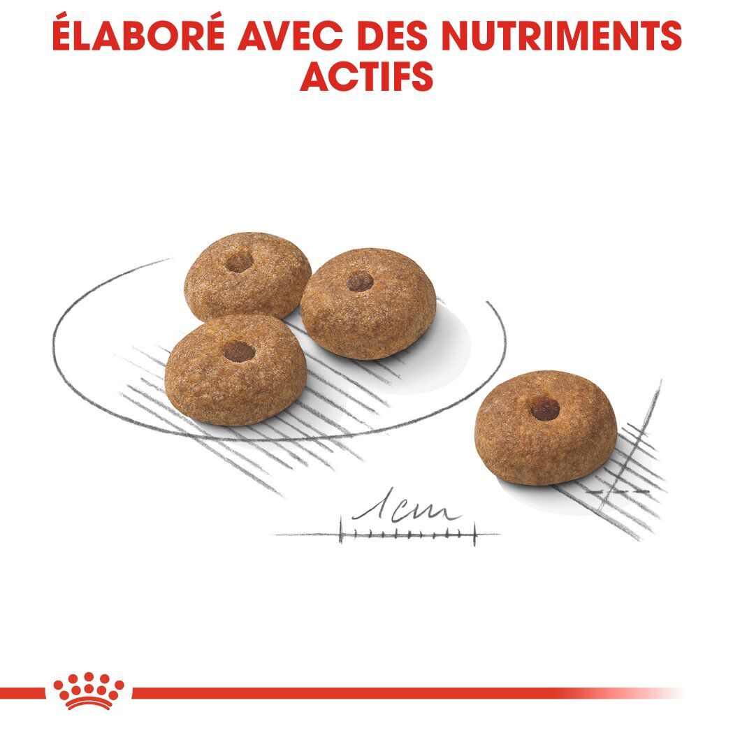 Royal Canin - Croquettes Mini Sterilised pour Chien St&eacute;rilis&eacute; - 8Kg Image num&eacute;ro 5