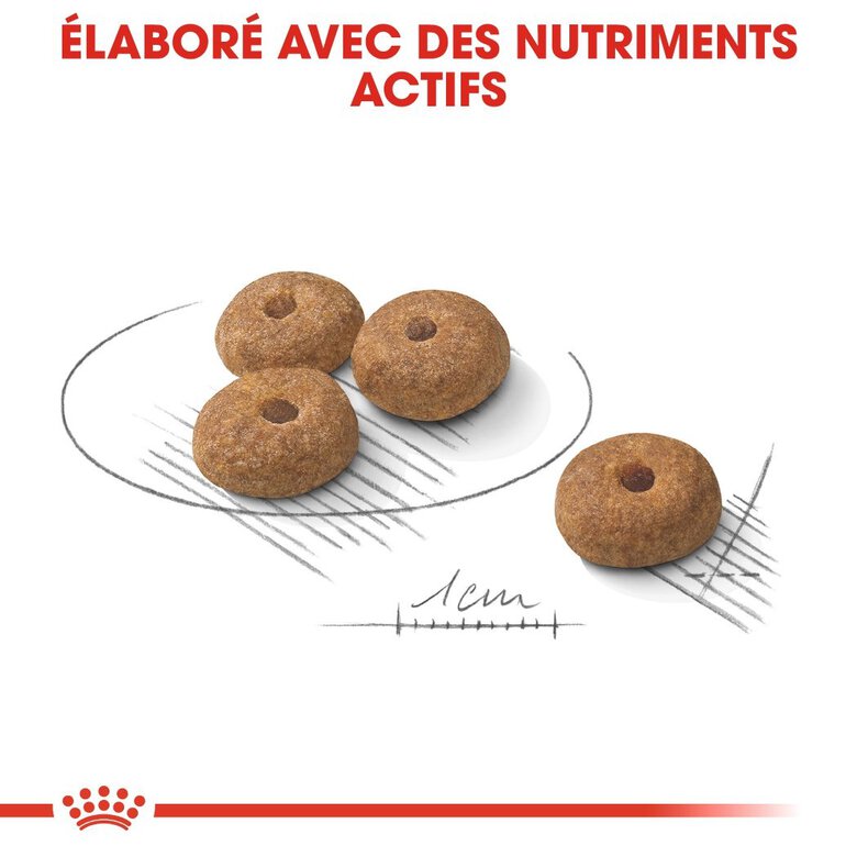 Royal Canin - Croquettes Mini Sterilised pour Chien Stérilisé - 8Kg Image numéro 5 Royal Canin - Croquettes Mini Sterilised pour Chien Stérilisé - 8Kg Image numéro 5