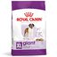 Royal Canin - Croquettes Giant Adult pour Chien - 15Kg Indicateur image numéro 2