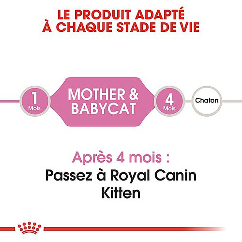 Royal Canin - Croquettes Mother & Babycat pour Chaton - 4Kg image number null