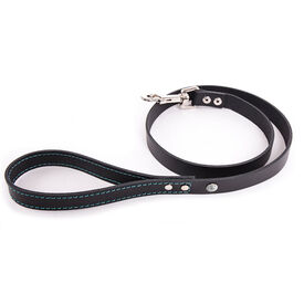 Martin Sellier - Laisse Flash Noir/Turquoise pour Chiens