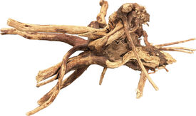 BioArt - Racine Naturelle Spider Wood pour Terrarium - 10/15cm