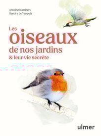 Les oiseaux de nos jardins