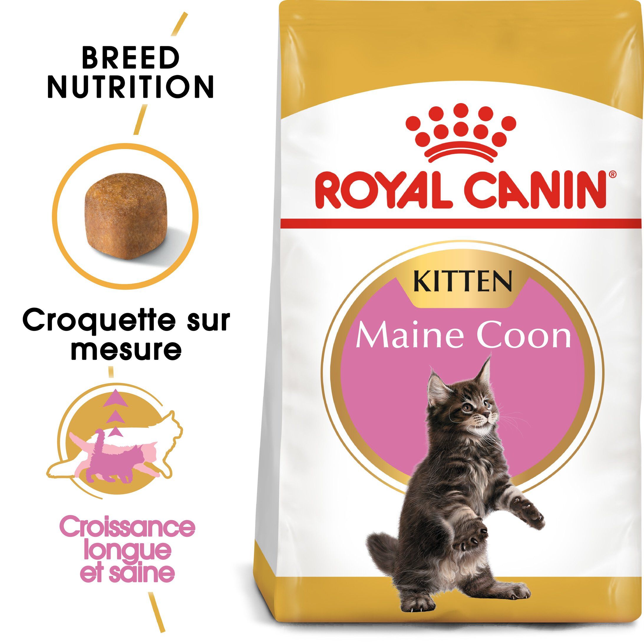 Royal Canin - Croquettes Maine Coon pour Chaton - 4Kg Image num&eacute;ro 1