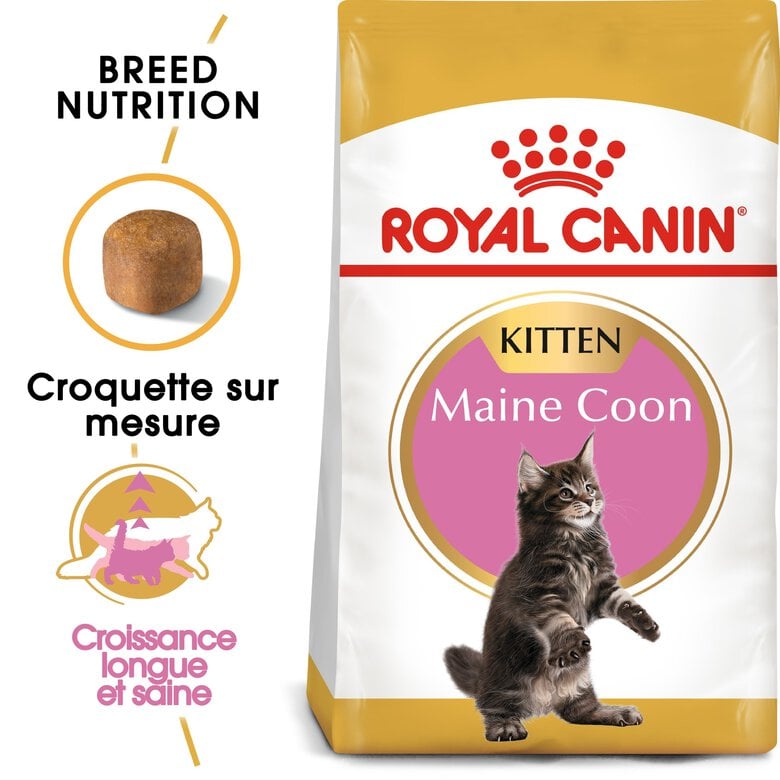 Royal Canin - Croquettes Maine Coon pour Chaton - 4Kg Image numéro 1 Royal Canin - Croquettes Maine Coon pour Chaton - 4Kg Image numéro 1