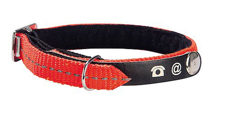 Bobby - Collier Lost Porte Adresse Orange pour Chat - XS image number null