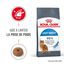 Royal Canin - Croquettes Light Weight Care pour Chat - 400g Indicateur image numéro 1