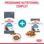 Royal Canin - Croquettes Urinary Care pour Chat - 4Kg Indicateur image numéro 2