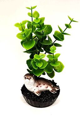 Labeo - Plante de Décoration avec Phoque pour Aquarium